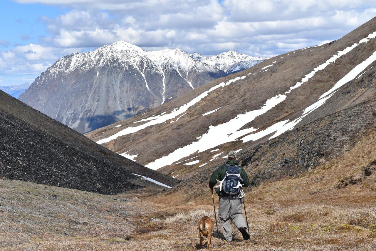 Backwoods Lodge Cantwell Экстерьер фото