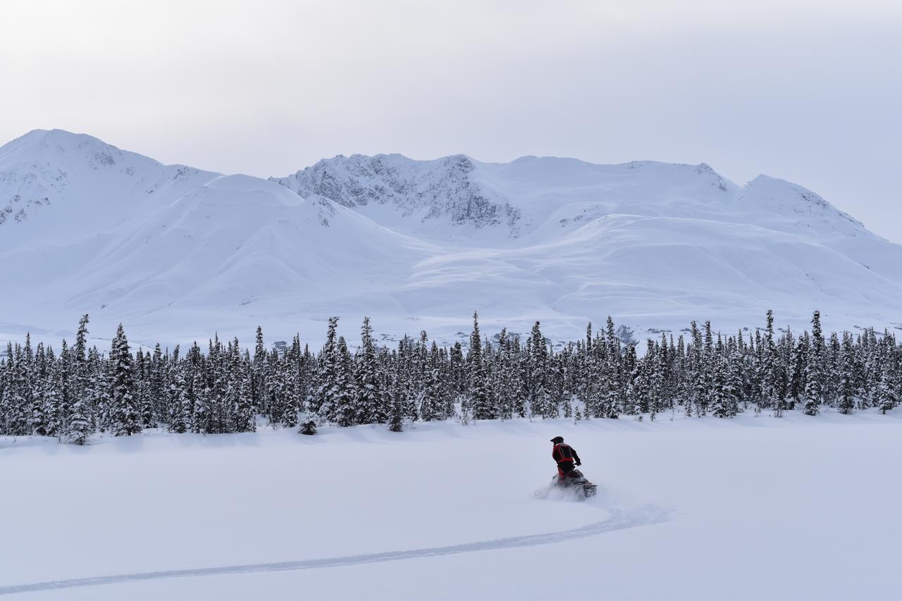 Backwoods Lodge Cantwell Экстерьер фото