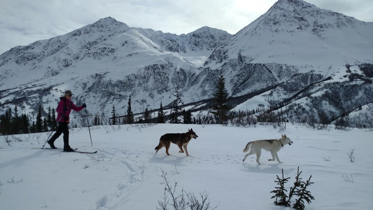 Backwoods Lodge Cantwell Экстерьер фото